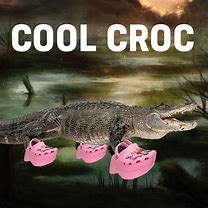 Image result for Crazy Crocs