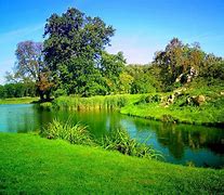 Image result for Nature Background Wallpaper HD