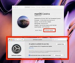 Image result for Mac Software Update ScreenShot