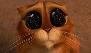 Image result for Puss in Boots Eyes Meme