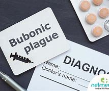 Image result for Bubonic Plague Treatment
