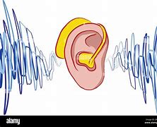 Image result for Ear with Sound Waves