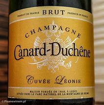 Image result for Canard Duchene Champagne Cuvee Leonie Brut