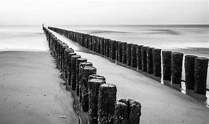 Image result for Diagnol Lines Photography