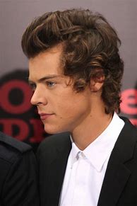 Image result for Harry Styles Profile