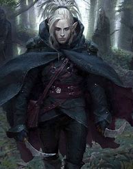Image result for Dark Elf Assassin