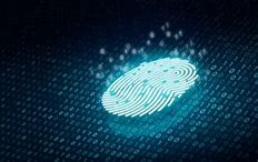 Image result for Portable Fingerprint Scanner