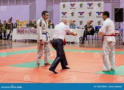 Image result for Martial Arts Fighting