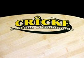 Image result for Main Boards of Cricke