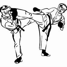 Image result for Little Girls Karate Fight