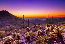 Image result for Best Sights in Arizona