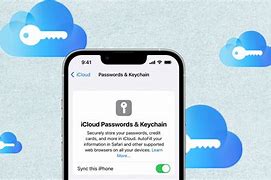 Image result for iCloud Passwords and Keychain