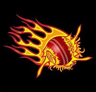 Image result for Cricket Fire Logo