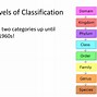 Image result for Classification Biology Definition