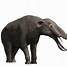 Image result for Largest Prehistoric Elephant