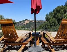 Image result for Lone Madrone The Will Will's Hills