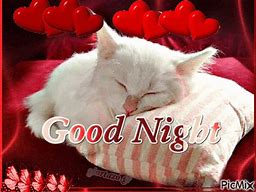 Image result for Good Night Kitty Meme