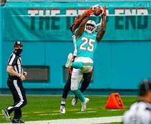 Image result for Funny Miami Dolphins Memes with Cincinati Bengals