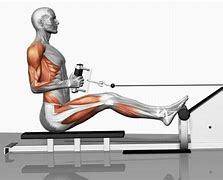 Image result for Seated Cable Row Machine