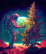 Image result for Cartoon High Eyes Weed