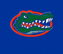 Image result for Gators Sports Logo Concepts