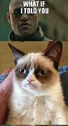 Image result for Matrix Cat Memes