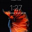 Image result for iPhone Lock Wallpaper