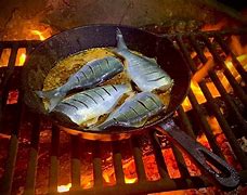 Image result for Grilling Fish Tips