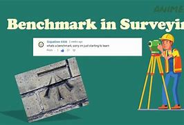 Image result for Surveyors Benchmark