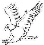 Image result for Eagle Coloring Pages for Kids