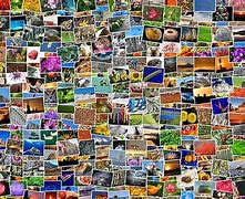 Image result for Pixabay Free Download MLM