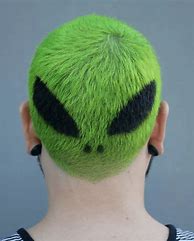 Image result for Wacky Haircuts
