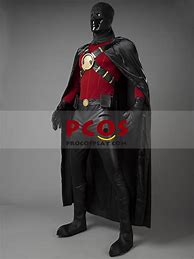 Image result for Red Robin Suit