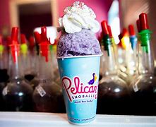 Image result for Pelicans Snow Cones Logo