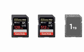 Image result for 1 Terabyte SD Card