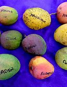 Image result for Hawaiian Fruits Chart