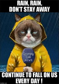 Image result for Rain Weather Meme