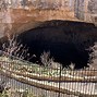Image result for Carlsbad Caverns Bat Flight