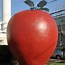 Image result for Giant Apple Sculpture
