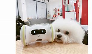 Image result for Robot Dog Companion