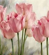 Image result for Pastel Pink Tulips