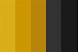 Image result for Also Available Black and Gold