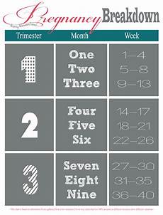 Week Month Trimester Chart Cherry Blossom Love