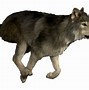 Image result for GIF of Cartoon Wolves