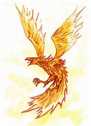 Image result for Ave Fenix Forma