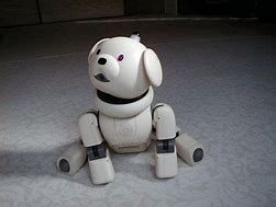 Image result for Aibo Ers Latte