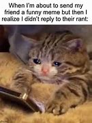 Image result for How Could You Sad Meme