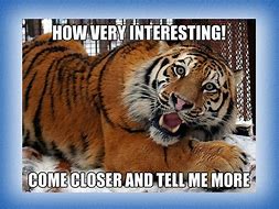 Image result for 10 Minute Break Meme Tiger