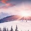 Image result for Snow Scenery Wallpaper Phone