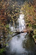 Image result for chojnowski_park_krajobrazowy